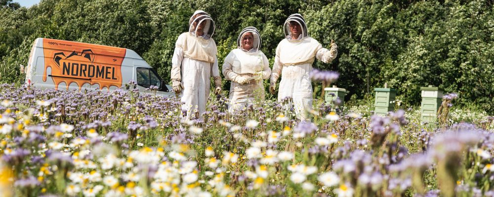justhoney-nordmel